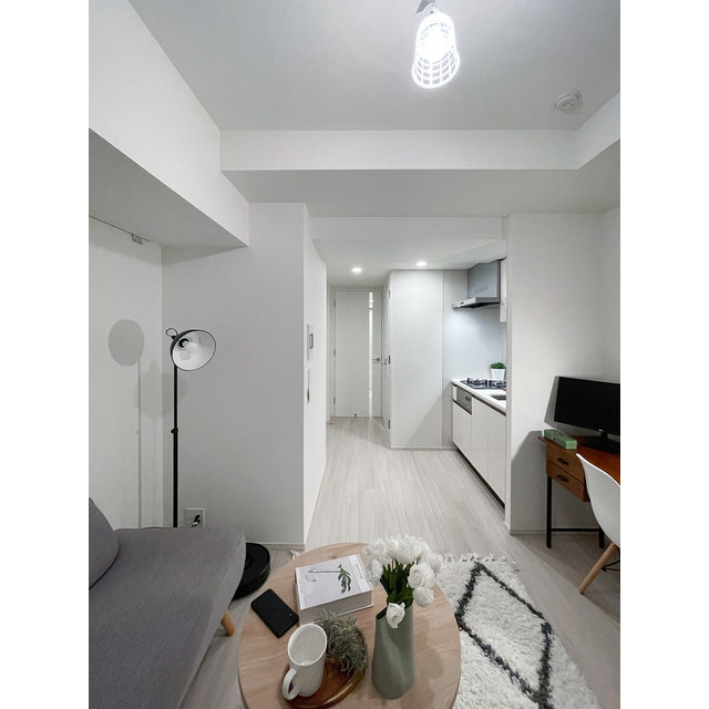 Higashi-shinjuku Sta. 1LDK 1291210-220