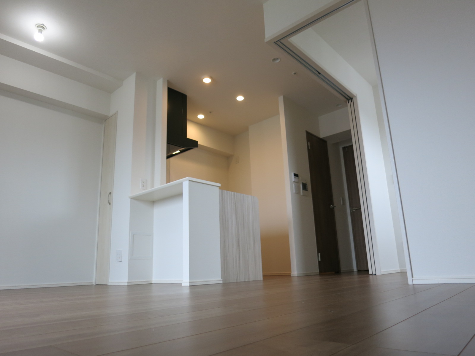 Hasunuma Sta. 1LDK 1345279-11A