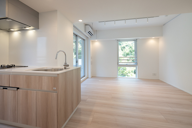 白金台车站 2LDK 1285125-3D