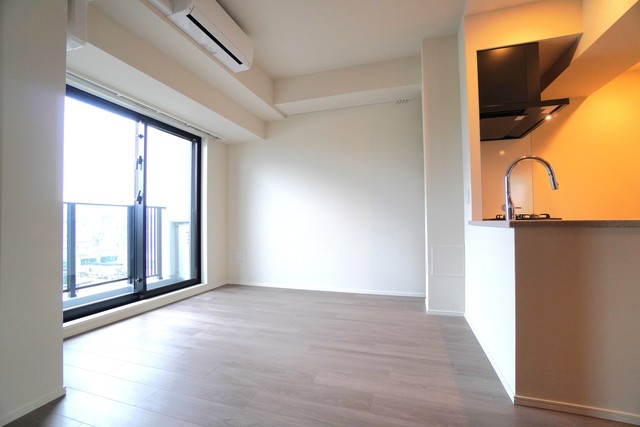 錦糸町車站 2LDK 601