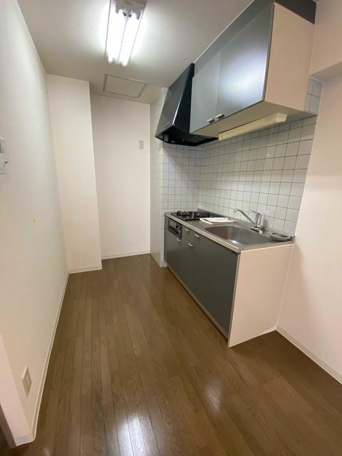 이나리쵸역 1DK 402