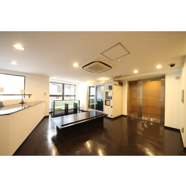 Higashi-ginza Sta. 1DK 0402