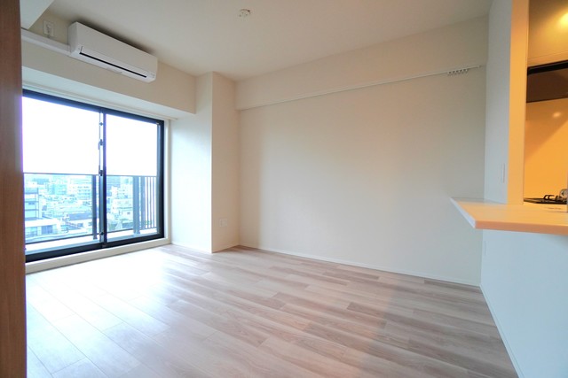 錦糸町車站 2SLDK 1103