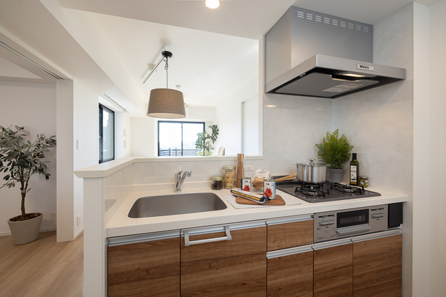 東十条車站 3LDK 813